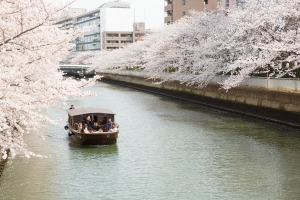 riverboat cruise japan